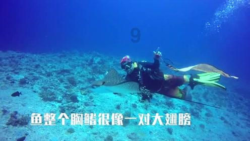 在凸透镜成像中,当物距等于焦距时,不成想,那为什么凸透镜上会出现光斑,并且移动它的大小不变?蜗牛问答平台,让你慢慢回答问题